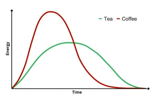 Tee und Koffein - Warum „Teein“ ein Mythos ist und was sonst noch in deiner Tasse steckt