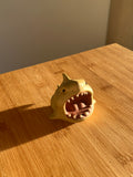 Tea Pet - Thirsty Shark