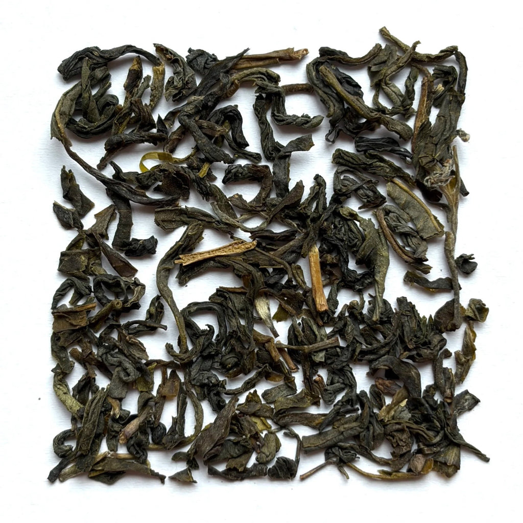 Jasmine Green