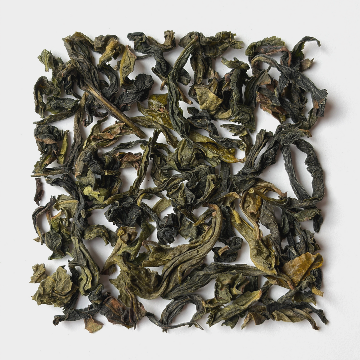 Pouchong Oolong