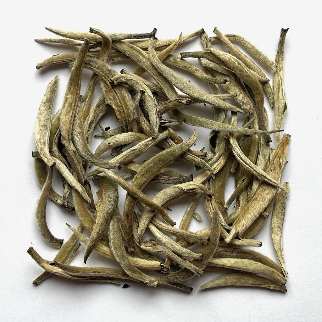 Silver Needle