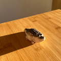 Tea Pet - Smiling Crocodile